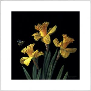 three daffodils and bee still life painting by Rebecca Luncan
