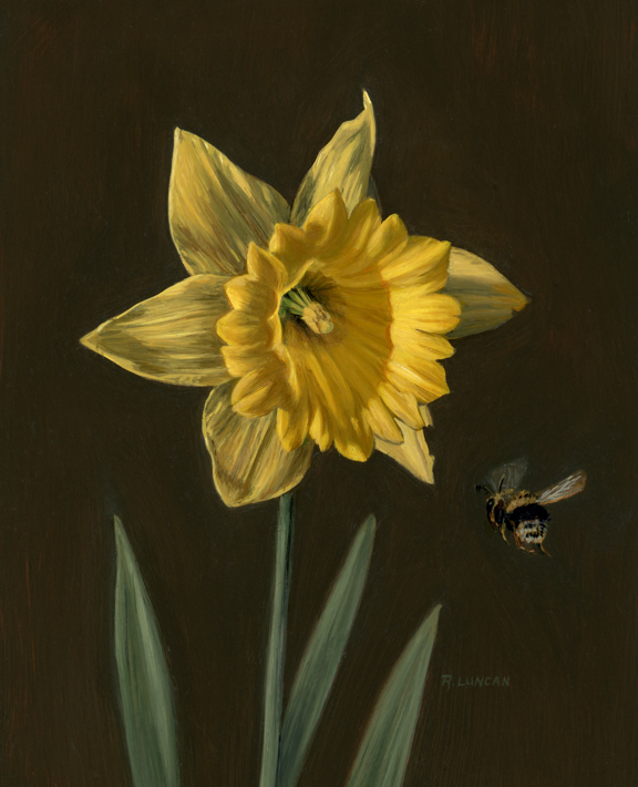 botanical daffodil painting with bee, miniature still life painting, oil on copper by Rebecca Luncan