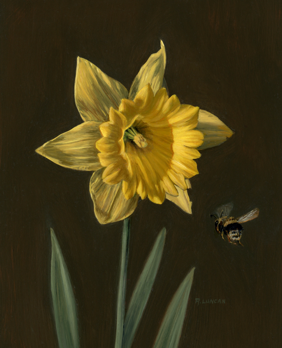 https://rebeccaluncan.com/wp-content/uploads/2022/04/daffodil-and-bee-web.jpg