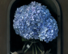 Hydrangea, floral oil painting by Rebecca Luncan
