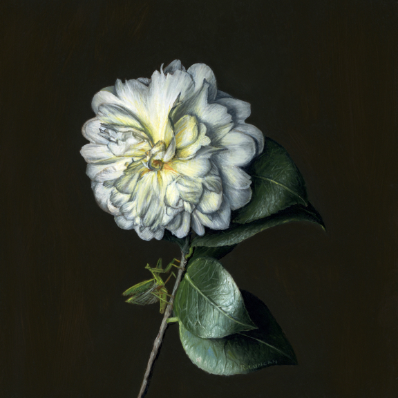 Whtie Camellia floral oil painting by Rebecca Luncan
