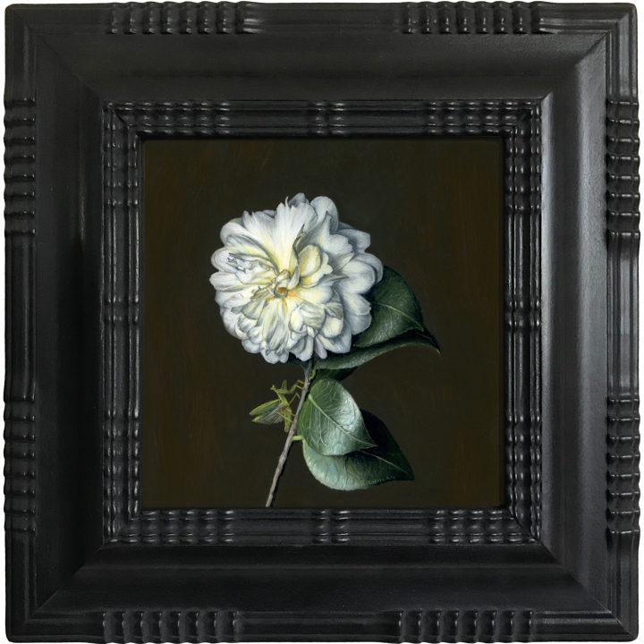 white camellia oil painting by Rebecca Luncan