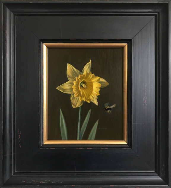 botanical daffodil painting by Rebecca Luncan