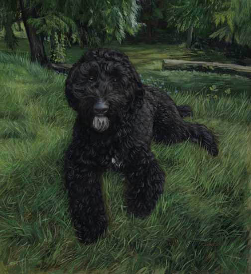 Portrait oil painting of black poodle, dog portrait by Rebecca Luncan