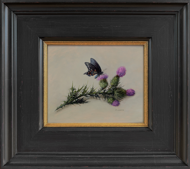 pipevine swallowtail thistle framed oil painting by Rebecca Luncan