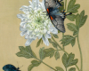 Asian Swallowtial oil painting still life by Rebecca Luncan
