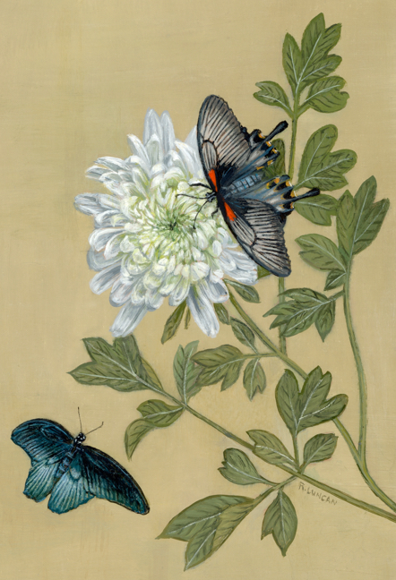 Asian Swallowtial oil painting still life by Rebecca Luncan
