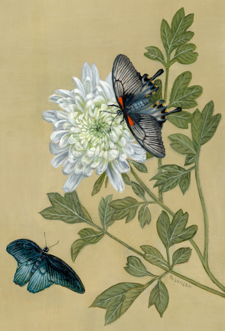 butterfly on flower paintings