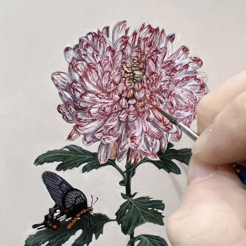 in progress Common rose swallowtail butterfly on mum floral oil painting by Rebecca Luncan