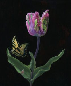 Western Tiger Swallowtail and Parrot Tulip botanical still life painting by Rebecca Luncan