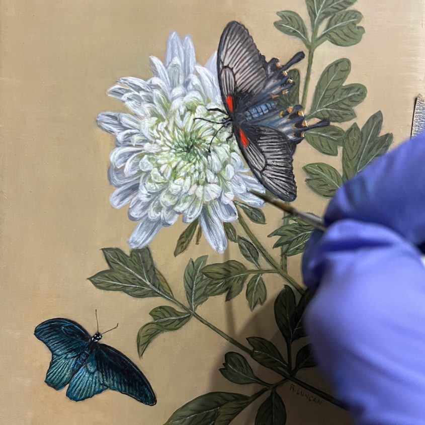 work in progress still life floral botanical painting asian Swallowtail by Rebecca Luncan