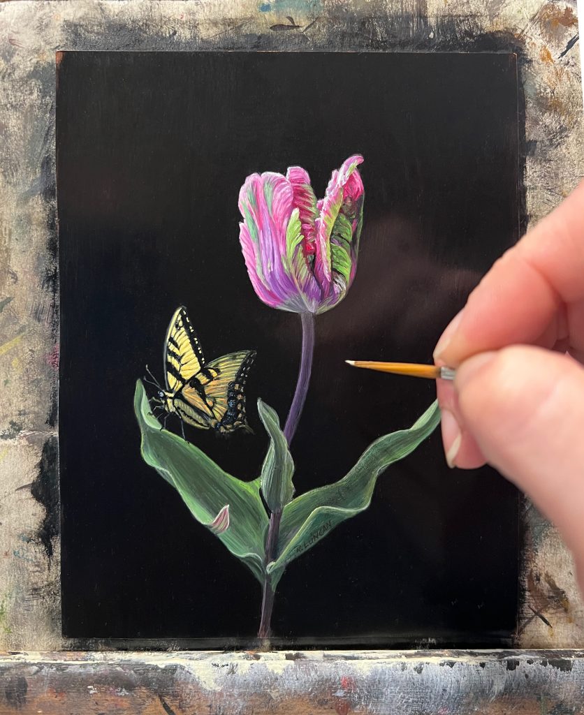 in Progress Western Tiger Swallowtail and Parrot Tulip botanical still life painting by Rebecca Luncan