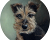 Dog portrait painting commission seattle artist Rebecca Luncan