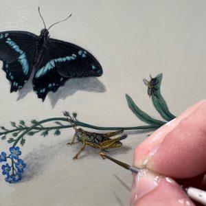 in progress Forget Me Not miniature painting, still life representational oil painting with butterfly, grasshopper and bee by Rebecca Luncan