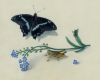 Forget Me Not, still life representational oil painting with butterfly, grasshopper and bee by Rebecca Luncan