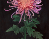 Spider mum oil painting with snail and bee by Rebecca Luncan