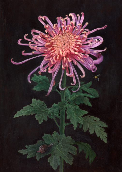 Spider mum oil painting with snail and bee by Rebecca Luncan