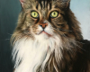  realistic cat portrait oil painting by Rebecca Luncan