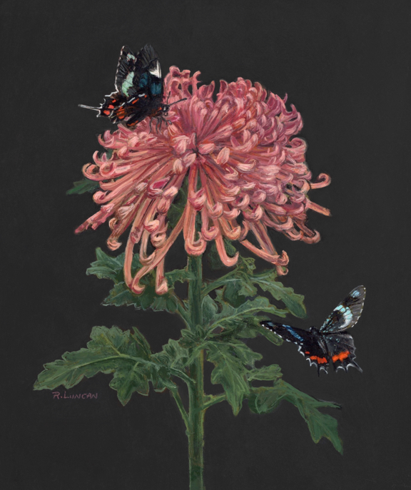 The Cuban Cattlehearts and the Mum still life oil painting on copper by Rebecca Luncan