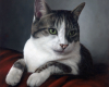 Traditional cat portrait on red velvet painted in oils by classically trained portrait artist, Rebecca Luncan