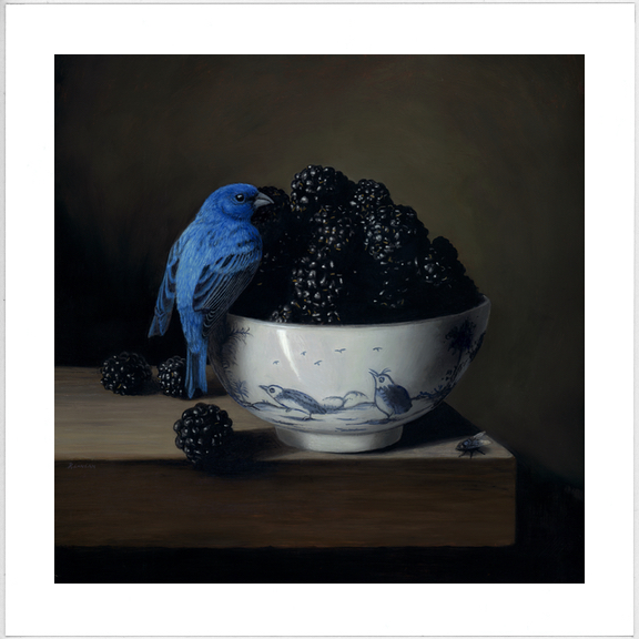 limited edition print from original painting of porcelain bowl with blackberries and Indigo Bunting bird Rebecca Luncan