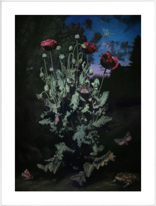 limited edition print from original painting of poppies at dusk by Rebecca Luncan