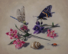 still life painting of dragondly butterfly and columbine by Rebecca Luncan