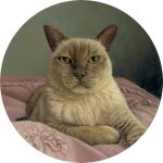 siamese oil portrait painting by Rebecca Luncan