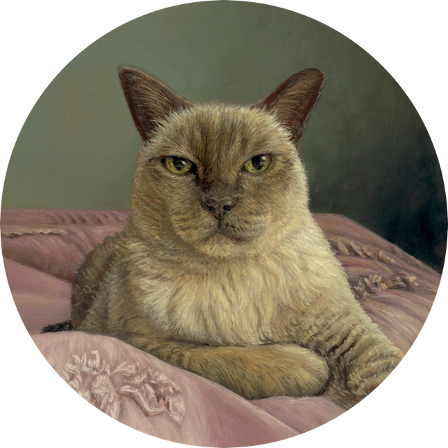 siamese oil portrait painting by Rebecca Luncan