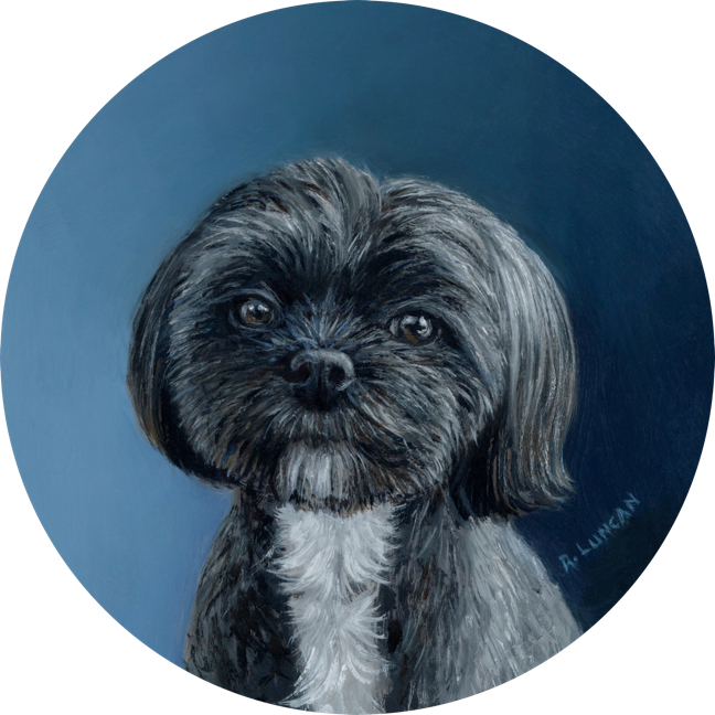 Franklin black and white dog oil portrait by Rebecca Luncan