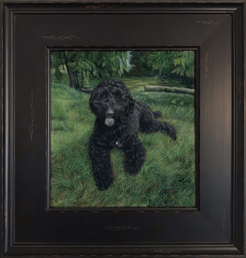 framed Portrait oil painting of black poodle, dog portrait by Rebecca Luncan