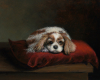 Oil painting of a Blenheim Cavalier King Charles Spaniel named Betty, posed on a red velvet cushion atop a wooden table with a dark background by Rebecca Luncan