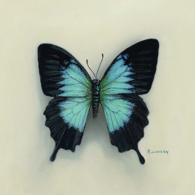 Oil painting of a Papilio ulysses swallowtail butterfly with iridescent turquoise-blue wings against a cream background