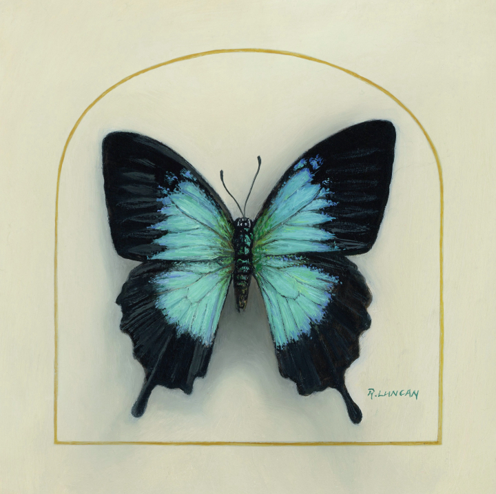 Oil painting of a Papilio ulysses swallowtail butterfly with iridescent turquoise-blue wings against a cream background
