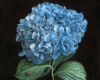 blue hydrangea still life oil painting floral by Rebecca Luncan