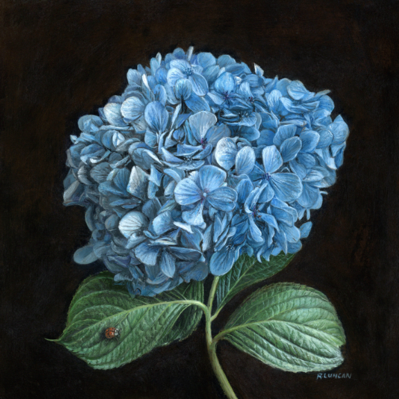 blue hydrangea still life oil painting floral by Rebecca Luncan